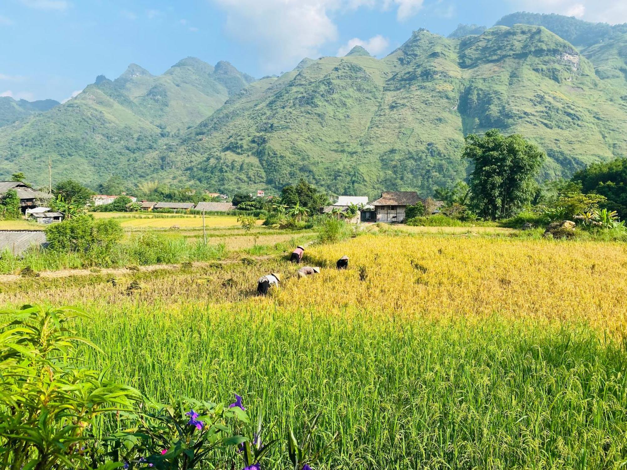 Du Gia Field View Homestay Làng Cac Exteriér fotografie