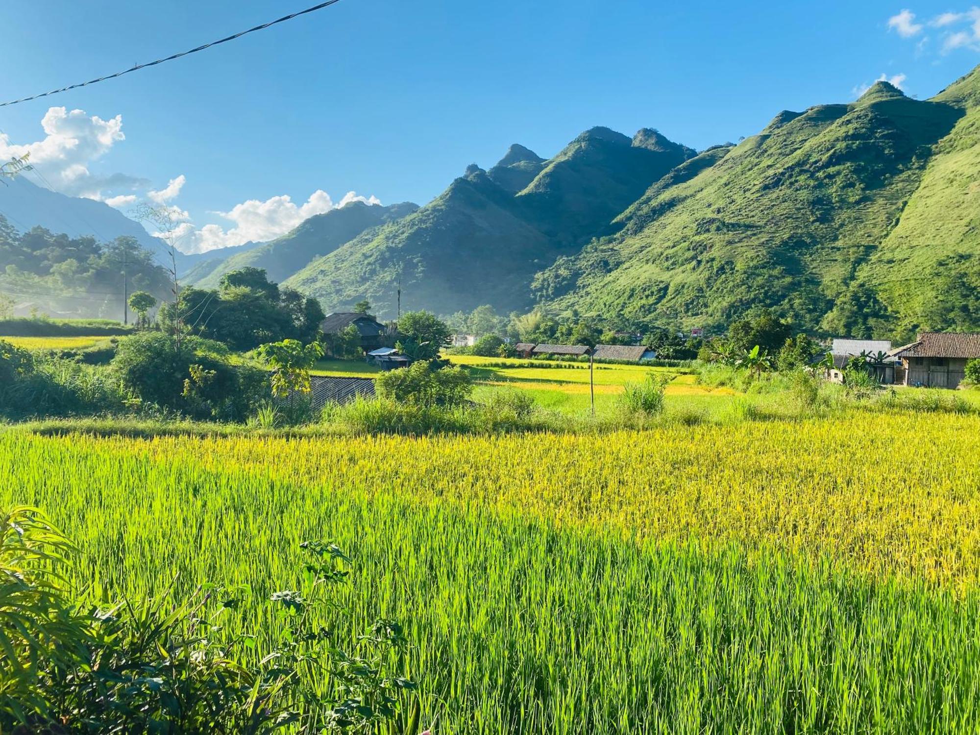 Du Gia Field View Homestay Làng Cac Exteriér fotografie