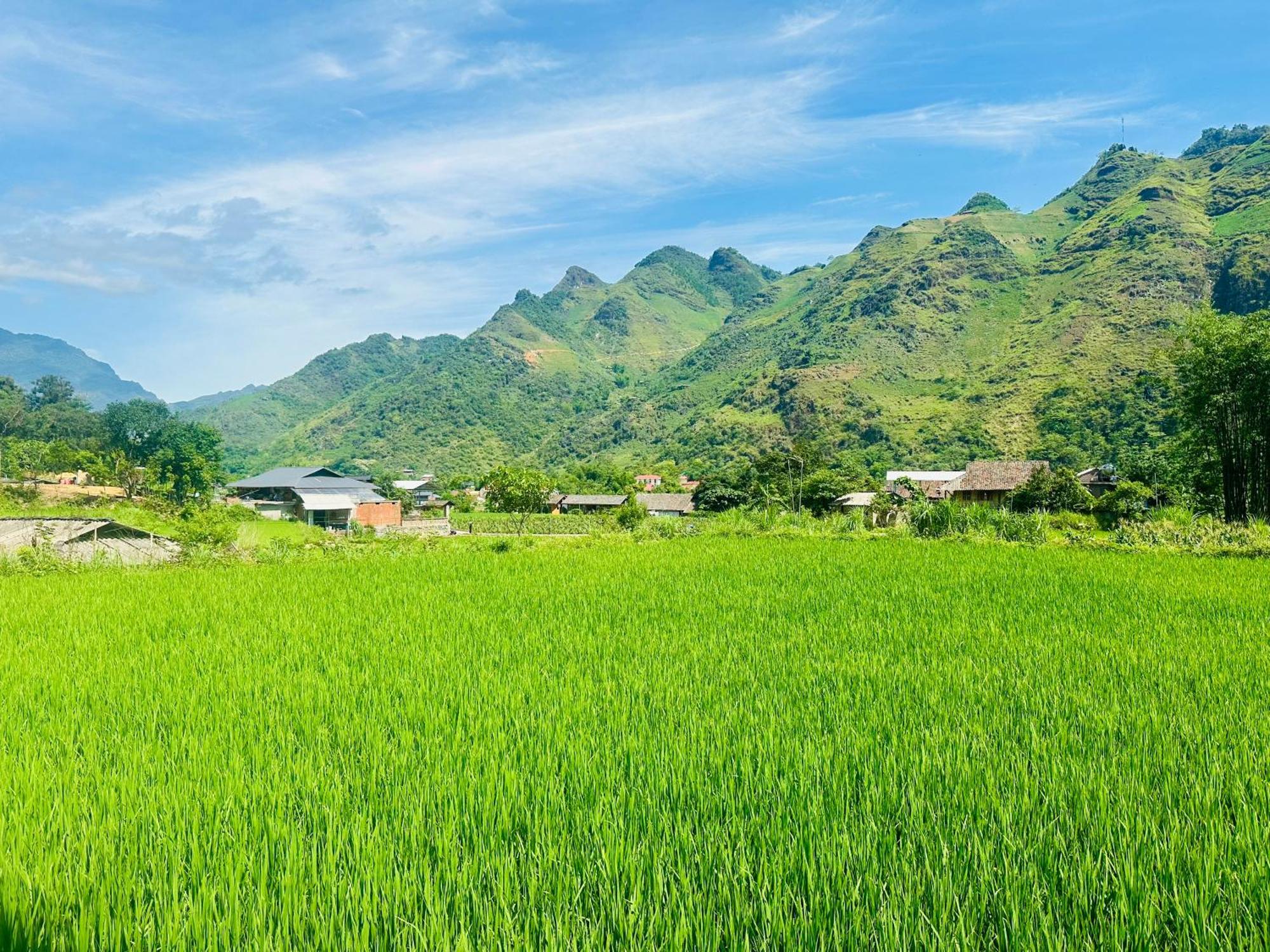 Du Gia Field View Homestay Làng Cac Exteriér fotografie